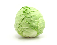 cabbage