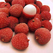 lychee, lychee yogurt, juicer recipe, lychee juicer recipe